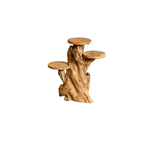 ARTERRA Support de Présentation en Bois Massif Artisanal Rustique en Racine de Teck Bio de Qualité Supérieure pour Décoration Intérieure/Extérieure pour Diwali - Product Image 1