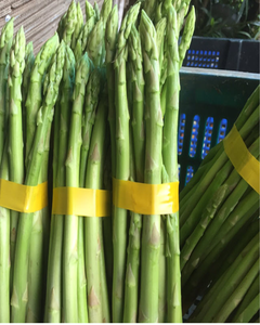 ESPÁRRAGOS VERDES – VEGETAL FRESCO, NATURAL Y SALUDABLE - Product Image 6