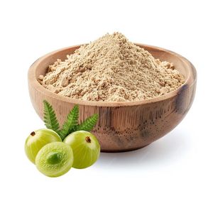 Health Food Grade Finely Processed Amla Powder 100% Natural & Herbal Gooseberry Powder for Juice Smoothie and Hair Care Support - Product Image 3