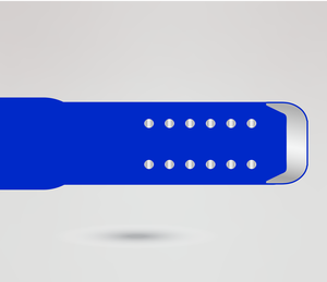 Ceinture de championnat de lutte en cuir avec design de texte bleu argenté, style champion du monde, quatre plaques latérales personnalisables - Product Image 5