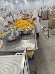 มะม่วงอบแห้งตงไน รสหวาน หั่นเป็นชิ้น บรรจุภัณฑ์สุญญากาศ เกรดพรีเมียม อายุการเก็บรักษา 12 เดือน 99 โกลด์ ดาต้า - Product Image 4