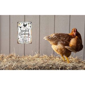 Insegna in metallo divertente per pollaio da esterno in stile rustico, accessorio per la casa, per galline coccole che producono uova migliori, il fieno per galline è buono per le uova - Product Image 5