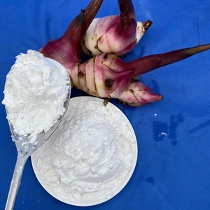 Amidon de marante naturel de qualité supérieure, très vendu et bon marché, fabriqué au Vietnam - Product Image 1