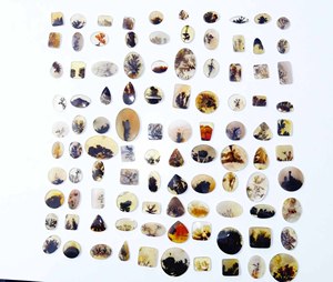 Lot en gros de cabochons d'agate dendritique Shazar naturelle, formes variées, haute qualité, pierres précieuses de quartz en vrac pour la fabrication de bijoux, tiers - Product Image 5