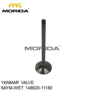 Vanne en acier inoxydable 6AYM 12AYM, 14862011180 pour YANMAR - Product Image 1
