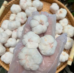 มังคุดอบแห้งเวียดนาม เนื้อกรอบธรรมชาติ ใช้ตกแต่งโยเกิร์ต ไอศกรีม และสมูทตี้ - Product Image 2