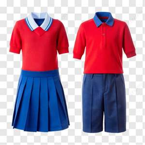 Uniforme Escolar de Algodón de la Mejor Calidad, Venta Caliente, Talla Personalizada, Ropa Deportiva Duradera para Estudiantes, Impresión de Logotipo Personalizado, Bordado - Product Image 1