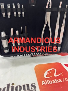 Extractor de Dientes de Lobo Equino, Juego Grande de Acero Inoxidable, Instrumentos de Odontología Especializada para Uso Profesional y Cuidadores - Product Image 3