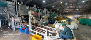 TTQ Cashew Processing Plant 30 Tons Per Day Raw Cashew Nut Line White Kernel Food Grade SS Ho <b>Chi</b> Minh City Manufacturer 380V - Product Image 4