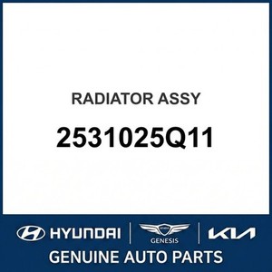 Radiadores Nuevos Accent 2531025Q11 - Product Image 1