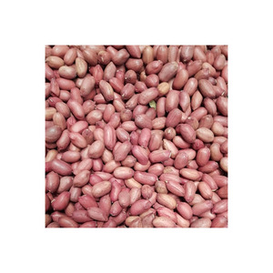 Approvisionnement en vrac d'arachides adaptées aux fabricants et exportateurs agroalimentaires - Product Image 5