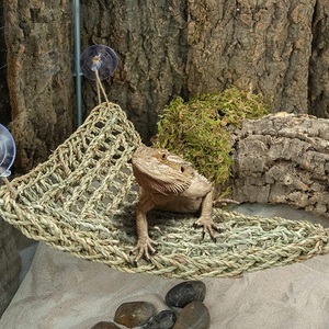 HAMMOCK SEAGRASS FIBRE AVEC DES INGRÉDIENTS NATURELS DE HAUTE QUALITÉ-HAMMOCK SEAGRASS FIBER POUR PET/ Ms.Thi - Product Image 1