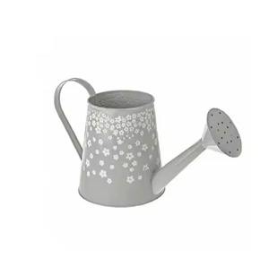 Arrosoir en métal au style attrayant, outil professionnel pour l'arrosage des plantes - Product Image 5