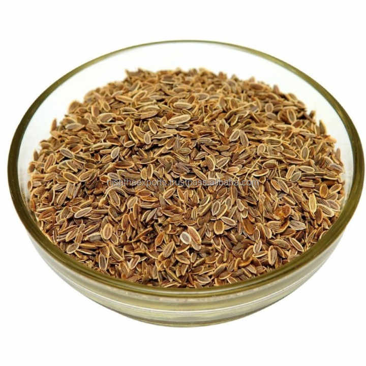 Anethum Graveolens Dilseed Soya Seeds Beej Soya Shatapushpa Suva Seed Dill Seed Dried Raw Herbs Wholesale Plant Extract