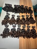 Extensiones de cabello Remy indio crudo, rizado hinchable, textura ondulada suave, paquetes de templo virgen, tramas sin procesar: No modelo permanente