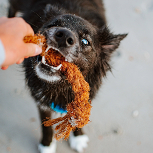Juguete Interactivo para Perros de Cuerda de Coco con Doble Nudo, Juguete Masticable de Fibra de Coco Trenzada, Juego de Tira y Afloja de Varios Tamaños para Perros Pequeños/Medianos/Grandes - Product Image 6