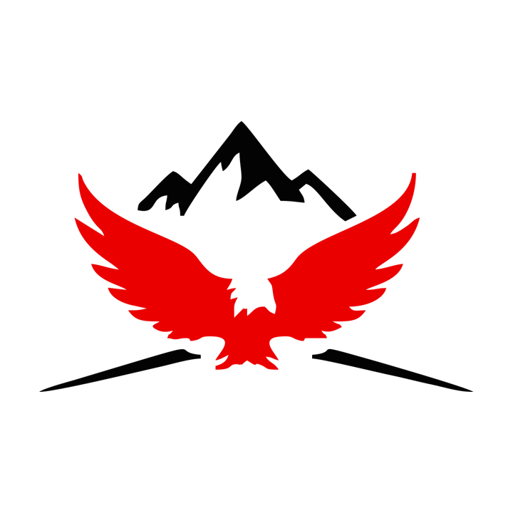 WORKINGDAYS INTERNATIONAL logo