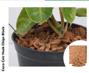 Substrat de terrarium naturel 5kg de blocs de copeaux de coco à prix compétitif pour la literie et la plantation d'animaux de compagnie - Product Image 6