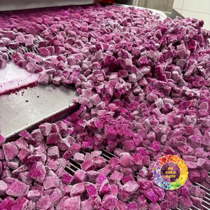Fruta del Dragón Congelada IQF Premium 20kg en Rodajas/Cubos 100% Original de Dak Lak Vietnam - Empaque al Vacío para Exportación a Granel Privado - Caryln - Product Image 6