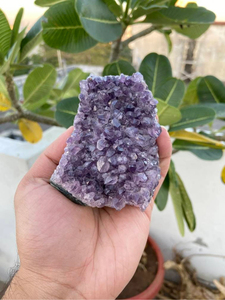 Amethyst Druzy <b>Cluster</b> | Natural Purple <b>Crystal</b> Geode | Raw Mineral Display for Home Decor & Gift Chakra Stones Feng Shui - Product Image 1