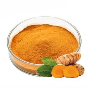 Extracto de Cúrcuma 100% Puro, Extracto de Raíz de Cúrcuma en Polvo de Alta Calidad con 95% de Curcuminoides para Suplementos Dietéticos - Product Image 2