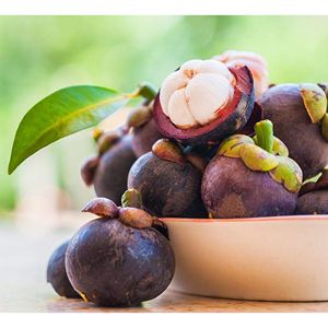 Fresh Tropical Mangosteen from Vietnam for Wholesale Buyers Supermarkets Fresh Produce and Fruit Import Companies - Product Image 4