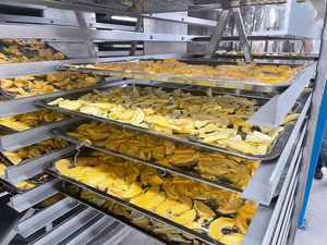 커피 원두 추출 동결 건조 커피 동결 건조 생산 라인 동결 건조 장비 가격 - Product Image 5