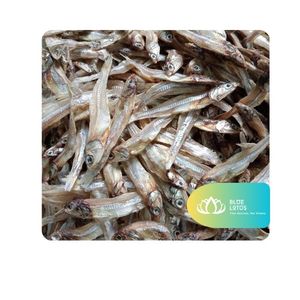 [สินค้าขายดี] บลูโลตัสฟาร์ม ปลาแอนโชวี่แห้ง อาหารปลาแอนโชวี่ คาร์โบไฮเดรตต่ำ บริการขายส่ง แพ็คของชำ สำหรับร้านอาหาร ครัว ซุป น้ำซุป อาหารปรุงสำเร็จ - Product Image 1