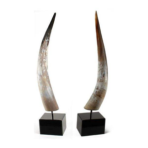 Meilleure décoration murale de table en corne de buffle naturelle polie, écologique, taille personnalisable par HF CRAFTS - Product Image 4