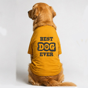 Premium Cotton Round Neck Dog <b>T</b> <b>Shirt</b> In Yellow Color Premium Soft Fabric Comfortable Durable Pet Apparel - Product Image 2
