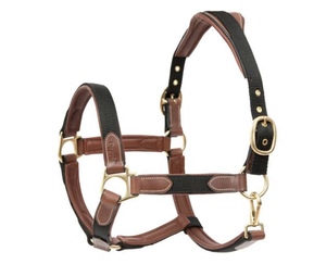 Harnais pour cheval en cuir véritable de haute qualité, fabriqué directement en usine, avec design anatomique et surpiqûres élégantes, OEM bienvenu - Product Image 1