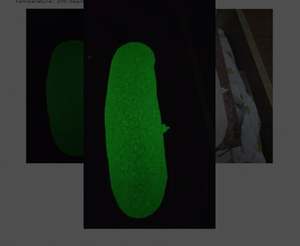 Peinture Luminescente pour l'Industrie Sucrière - Peinture Phosphorescente pour Zones Dangereuses des Usines de Sucre - Peinture Phosphorescente pour Réservoirs de Stockage de Sucre - Product Image 1