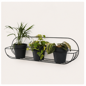 Support mural moderne en métal pour plantes, support minimaliste ovale en fer pour pot de fleurs, noir, pour plantes suspendues, pour intérieur. - Product Image 4