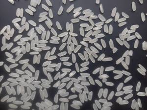 CALROSE Riz Basmati Blanc Biologique Haute Qualité Gros Grain Séché Texture Dur Motif Long Usage Alimentaire Contact + 84765149122 5% - Product Image 3