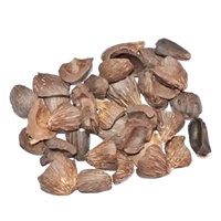 Charbon Actif de Coque de Noix de Coco Super Sec à Bas Prix pour l'Industrie du Biocarburant en Coque de Palmiste d'Indonésie, 4000J Calorie, 0,75% Cendres