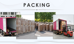 BIOBASE -30 ℃ 冷凍庫-30 ℃ デジタルディスプレイ冷凍庫直立-30 ℃ 研究室用 - Product Image 2