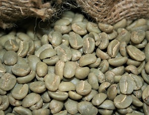 Top Vietnam Specialty Arabica Green Coffee <b>Beans</b> Size 16 Export Standard USDA Certified 100% Natural Coffee Farm TNFOOD Brand - Product Image 5