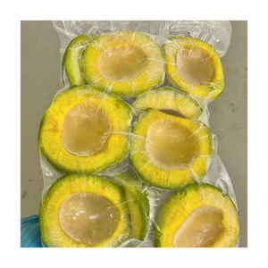 Cubos de Aguacate IQF Económicos con Textura Consistente para la Producción de Smoothies, Postres y Salsas - Product Image 6