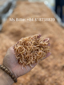 Crevettes bébés Vannamei séchées du Delta du Vietnam, paquet en vrac de 10 kg, au meilleur prix compétitif - Product Image 1