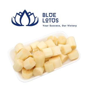 BEST SELLER Canne à sucre congelée écologique, texture moelleuse et juteuse, qualité alimentaire supérieure - Product Image 1
