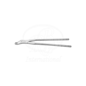 คีมถอนฟันม้าแบบ Duck Bill Fragment Equine Dental Forceps ทำจากสแตนเลส ขนาด 19 นิ้ว สำหรับสัตวแพทย์ - Product Image 2