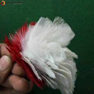 Plumas Decorativas de Primera Calidad, Color y Logotipo Personalizados, Accesorio Ligero para Disfraces y Sombreros - Product Image 6