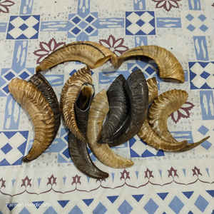 Cuerno de carnero natural tradicional para beber, hecho a mano al estilo vikingo, a precio económico. - Product Image 6