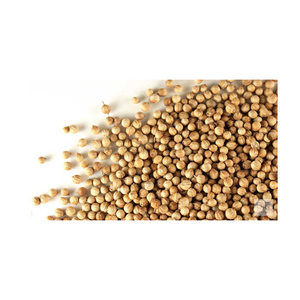 Semillas de Cilantro de la Mejor Calidad, 100% Puras y Naturales, Especia Culinaria Seca, Vida Útil de 2 Años, Proveedor a Granel para Fabricantes de Alimentos - Product Image 6