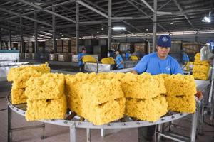 Grado de moldeo compuesto de caucho natural vietnamita SVR 5 de alta calidad Baiyue para industrias automotrices y de artículos para el hogar - Product Image 3