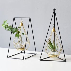 Terrario de Metal y Vidrio Negro Personalizado, Moderno, para Plantas de Interior, Suculentas, Plantas Aéreas y Terrarios DIY - Product Image 5