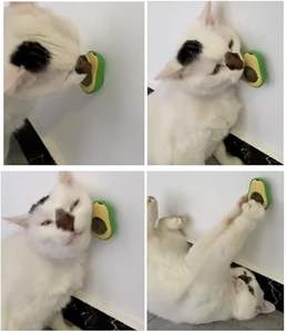 Bolas de hierba gatera OEM y ODM para gatos, juguete para masticar y jugar a base de hierbas naturales, juguete interactivo para aliviar el estrés para mascotas, etiqueta privada disponible para mascotas - Product Image 2