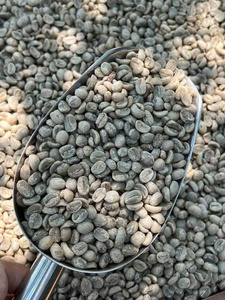 Café Robusta Tostado de Vietnam, Grado 1, Nueva Cosecha, Sin OMG, Exportación a Granel, Venta al por Mayor, Limpio - Product Image 2