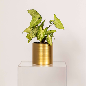 Brass Decorative Planter Pot Indoor <b>Desk</b> Planter Pot Gold Plated Metal Succulent Planters Circular Indoor Desktop Flower Pot - Product Image 3