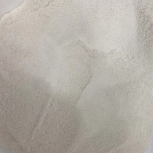 มะพร้าวอบแห้งพรีเมียมจากเวียดนาม เนื้อละเอียด ไขมันสูง เหมาะสำหรับทำเค้ก บิสกิต และวัตถุดิบอาหารอุตสาหกรรม - Product Image 1